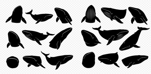 A collection of black whale silhouettes in various swimming and diving poses on a transparent background.