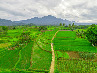 Obraz premium Wonderful sunrise scenery indonesia nature mountain valley forest with bright sky