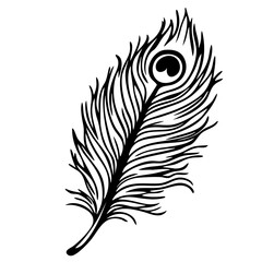 Elegant black feather vector with intricate details and a heart design, perfect for artistic and decorative uses in various projects