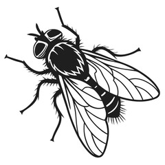 Isolated Black Silhouette of Flie on White Background  Insect Vector Illustration