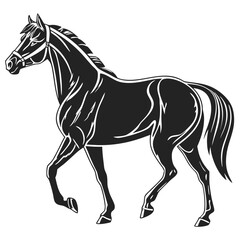 Isolated Black Silhouette of Horse on White Background Animal Vector Illustration