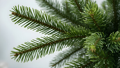 Artificial christmas tree branch with stunning detail and texture, perfect for holiday projects