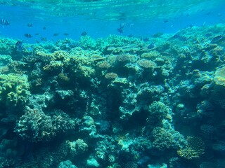 Roundtrip in Australia