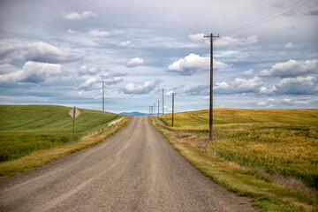 Telegraph Poles and Country Road through Fields Idaho USA