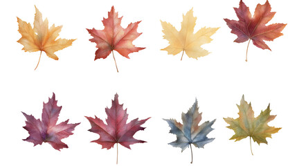 Maple leaves, leaf group pictures, autumn leaves, transparent pictures, png pictures