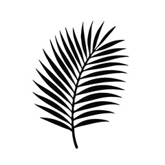 Fototapeta premium Black and white silhouette of a single palm leaf.