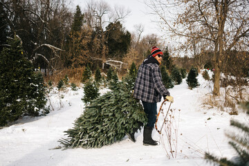 Man pulling Christmas tree while walking on snow covered land in forest