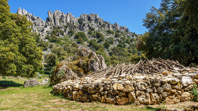 Blick auf eine typische traditionelle sardische Hirtenh&uuml;tte (Cuile), mit Kn&uuml;ppelholz bedeckt und mit einem Sockel aus unbehauenen Steinen; im Hintergrund: Gennargentugebirge in der N&auml;he von Oliena