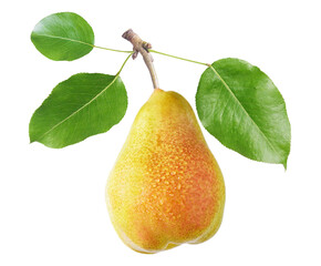 fresh ripe pear with leaves isolated on transparent background