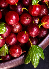 Red Gooseberries  on slate