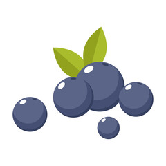 Blueberry vector. blueberry on PNG. symbol. logo design.