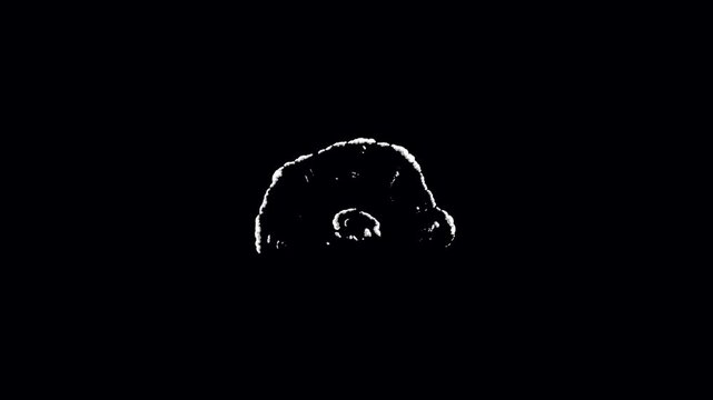 Smoke explosion, Flash FX Animation, you can use it in the background of any of your animation videos, suitable for use in cartoons, video games, etc., blast animation, smoke blast