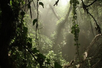 Lush, misty jungle, sunlight filtering through dense foliage