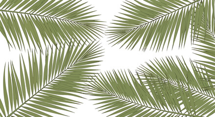 Palm leaves graphic design background