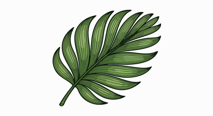 Tropical leaf illustration