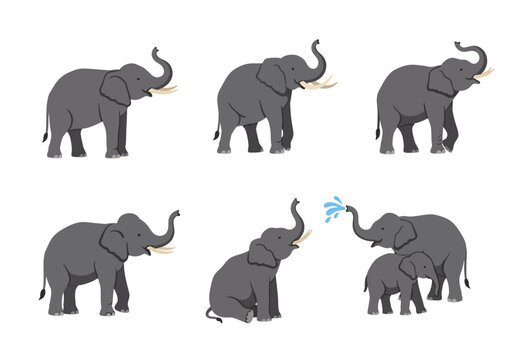 A collection of six gray cartoon elephants in various poses, including a mother and calf spraying water.
