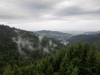 Low clouds and fog drift among the evergreen trees of the black forest mountains near Buhl, Germany, creating a moody, atmospheric scene