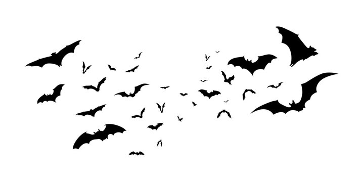 collection of black bat silhouettes