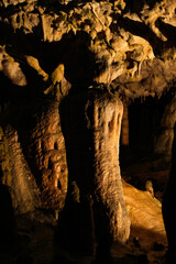 スロベニア_ポストイナ鍾乳洞