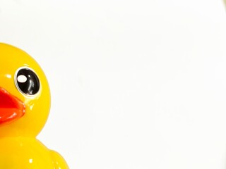 rubber duck in white background 