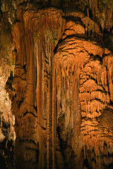 スロベニア_ポストイナ鍾乳洞