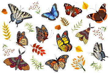 Butterflies on a white background.Vector illustration with bright butterflies and leaves on a white background.
