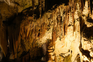 スロベニア_ポストイナ鍾乳洞