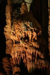 スロベニア_ポストイナ鍾乳洞