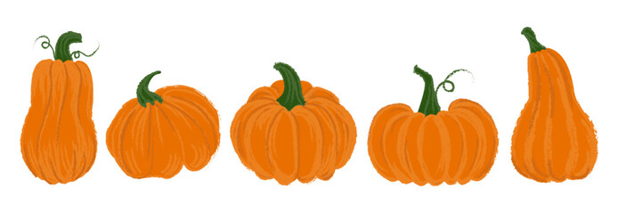Set of pumpkins and leaves - illustration of autumn and Thanksgiving