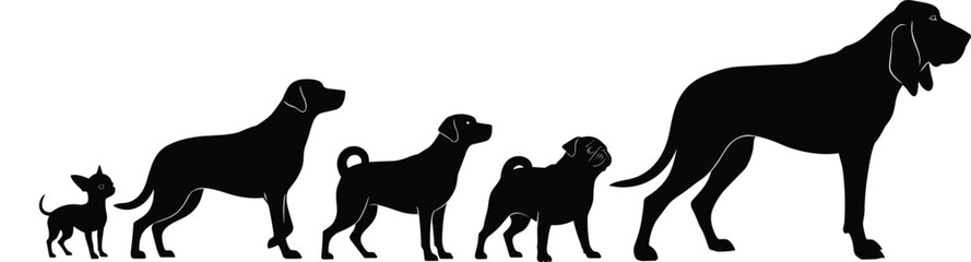 Silhouettes of Five Dogs in Varying Sizes – Chihuahua to Bloodhound in Black Vector Style on White Background for Pet Design