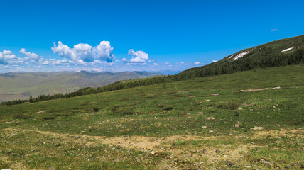 Mountain scene with green valley, sparse trees, rocks, and blue sky. Calm and serene ambiance captured in the image.