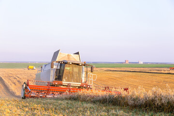 Combine harvesting barley on a hilly field at sunset