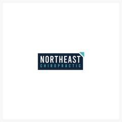 Professional Northeast Chiropractic Healthcare Clinic Logo Design