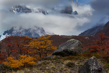 Autumn in Patagonia