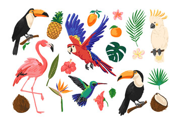 Tropical birds and exotic fruits set. Includes toucans, parrot, flamingo, cockatoo, hummingbird, and colorful plants on white.