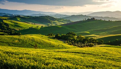 Obraz premium Rolling hills of vibrant green embrace a tranquil countryside, bathed in the soft glow of a serene sunset.