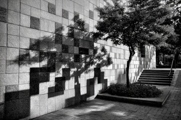 Exterior wall with tree shadows