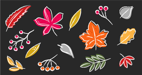 Autumn hand drawn colorful chalked leaves berries doodle brush style  dark grey background. Trendy modern design elements.