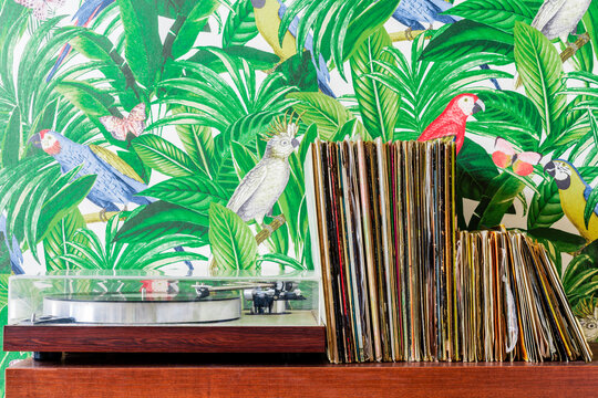 Record player and collection of records against wallpaper in jungle and parrots pattern
