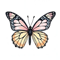 Obraz premium Minimalist Butterfly Line Drawing Isolated on White