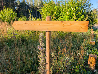 Blank wooden arrow signpost pointing left in a rustic park, offering guidance and direction with...