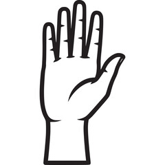 Human hand with palm and fingers isolated on white background gesture of stop, wait, or greeting with hand anatomy and body structure
