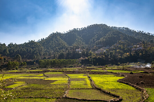 Panoramic views of Someshwar valley in Kumaon region of Uttarakhand and the beautiful terrace farms in the region. 
