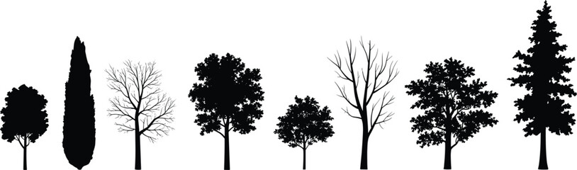 Obraz premium Tree silhouette collection, black forest elements, natural eco design, vector tree shapes, bare and leafy trees, woodland background, landscape illustrationTree silhouette collection, 