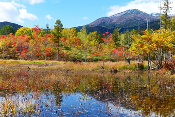 秋の乗鞍高原。松本、長野、日本。10月中旬。