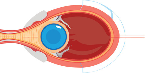 Fototapeta premium An illustration of the human eye, showcasing its structure, including the iris, pupil, and sclera.