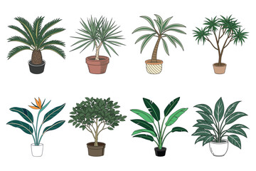 Eight potted green houseplants including palms and bird of paradise are arranged on white