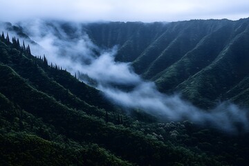 Misty Mountain Valley: Dramatic Landscape Photography