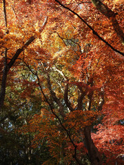 煉獄から逃れる手