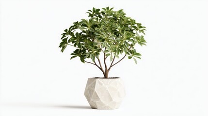 Potted plant, light beige pot